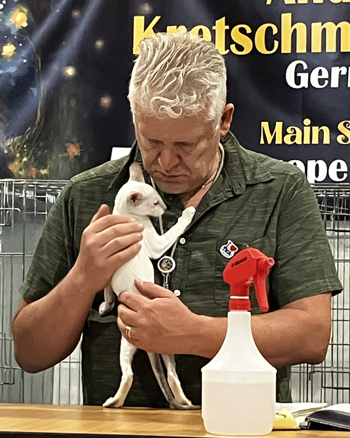 Man holding a kitten